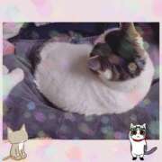 ヒメ日記 2025/04/30 09:46 投稿 大原ナース[看護副主任] 病院