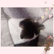 ヒメ日記 2025/05/03 09:56 投稿 大原ナース[看護副主任] 病院