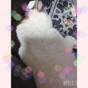 ヒメ日記 2025/05/11 09:46 投稿 大原ナース[看護副主任] 病院