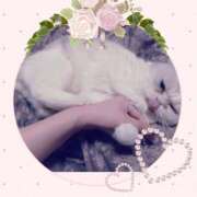 ヒメ日記 2025/05/26 09:46 投稿 大原ナース[看護副主任] 病院