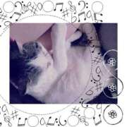 ヒメ日記 2025/05/28 09:46 投稿 大原ナース[看護副主任] 病院