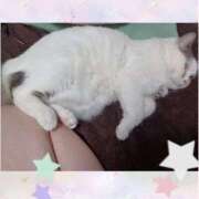 ヒメ日記 2025/05/29 10:16 投稿 大原ナース[看護副主任] 病院