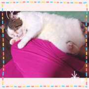 ヒメ日記 2025/06/02 09:36 投稿 大原ナース[看護副主任] 病院