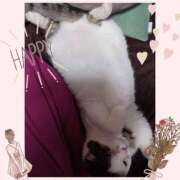 ヒメ日記 2025/06/08 09:56 投稿 大原ナース[看護副主任] 病院