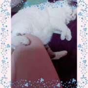 ヒメ日記 2025/06/08 21:36 投稿 大原ナース[看護副主任] 病院