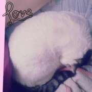 ヒメ日記 2025/06/25 09:46 投稿 大原ナース[看護副主任] 病院