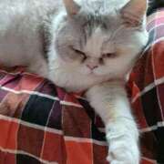 ヒメ日記 2025/06/30 07:46 投稿 大原ナース[看護副主任] 病院