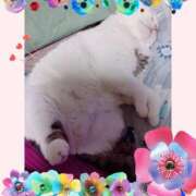 ヒメ日記 2025/07/13 09:46 投稿 大原ナース[看護副主任] 病院