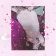 ヒメ日記 2025/07/16 09:26 投稿 大原ナース[看護副主任] 病院