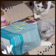 ヒメ日記 2025/07/19 09:36 投稿 大原ナース[看護副主任] 病院