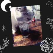 ヒメ日記 2025/07/24 09:26 投稿 大原ナース[看護副主任] 病院