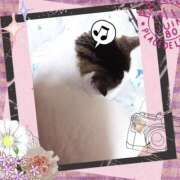 ヒメ日記 2025/08/07 09:46 投稿 大原ナース[看護副主任] 病院