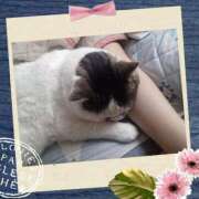 ヒメ日記 2025/08/10 09:55 投稿 大原ナース[看護副主任] 病院