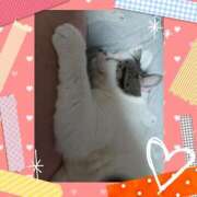 ヒメ日記 2025/08/17 10:08 投稿 大原ナース[看護副主任] 病院