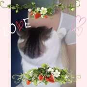 ヒメ日記 2025/09/27 09:46 投稿 大原ナース[看護副主任] 病院