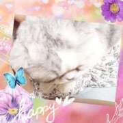 ヒメ日記 2025/10/07 09:46 投稿 大原ナース[看護副主任] 病院