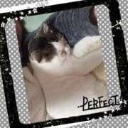 ヒメ日記 2025/10/15 09:36 投稿 大原ナース[看護副主任] 病院