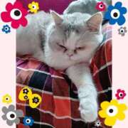 ヒメ日記 2025/10/18 09:46 投稿 大原ナース[看護副主任] 病院