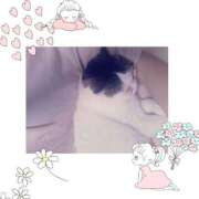 ヒメ日記 2025/10/21 09:56 投稿 大原ナース[看護副主任] 病院