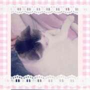 ヒメ日記 2025/10/23 09:46 投稿 大原ナース[看護副主任] 病院