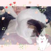 ヒメ日記 2025/10/29 09:46 投稿 大原ナース[看護副主任] 病院