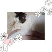 ヒメ日記 2025/11/09 09:36 投稿 大原ナース[看護副主任] 病院