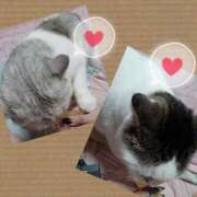 ヒメ日記 2025/11/16 21:36 投稿 大原ナース[看護副主任] 病院