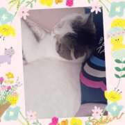 ヒメ日記 2025/11/26 09:36 投稿 大原ナース[看護副主任] 病院