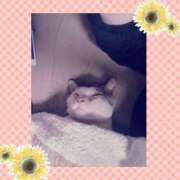 ヒメ日記 2025/12/03 09:46 投稿 大原ナース[看護副主任] 病院