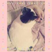 ヒメ日記 2025/12/04 09:36 投稿 大原ナース[看護副主任] 病院