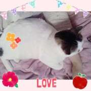 ヒメ日記 2025/12/24 09:46 投稿 大原ナース[看護副主任] 病院