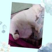 ヒメ日記 2025/12/28 10:06 投稿 大原ナース[看護副主任] 病院