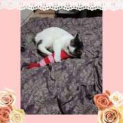 ヒメ日記 2026/01/25 09:46 投稿 大原ナース[看護副主任] 病院