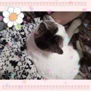 ヒメ日記 2026/02/01 09:46 投稿 大原ナース[看護副主任] 病院