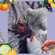 ヒメ日記 2026/02/03 17:36 投稿 大原ナース[看護副主任] 病院