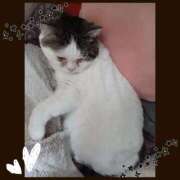 大原ナース[看護副主任] おはようございます(*^^*) 病院