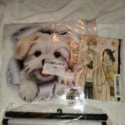 ヒメ日記 2024/12/16 02:51 投稿 小川ナース[看護主任] 病院