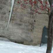 ヒメ日記 2024/12/26 14:06 投稿 小川ナース[看護主任] 病院