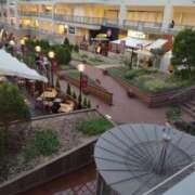 ヒメ日記 2025/01/15 14:16 投稿 小川ナース[看護主任] 病院