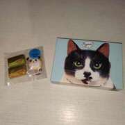 ヒメ日記 2025/02/10 21:36 投稿 小川ナース[看護主任] 病院