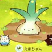 ヒメ日記 2025/03/01 13:56 投稿 小川ナース[看護主任] 病院