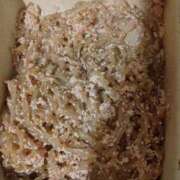 ヒメ日記 2025/03/20 14:08 投稿 小川ナース[看護主任] 病院