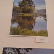 ヒメ日記 2025/04/08 14:46 投稿 小川ナース[看護主任] 病院