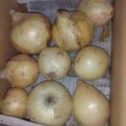 ヒメ日記 2025/04/19 13:36 投稿 小川ナース[看護主任] 病院