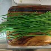 ヒメ日記 2025/06/03 13:56 投稿 小川ナース[看護主任] 病院