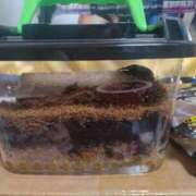 ヒメ日記 2025/06/21 14:26 投稿 小川ナース[看護主任] 病院