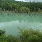 ヒメ日記 2025/07/04 13:26 投稿 小川ナース[看護主任] 病院