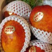 ヒメ日記 2025/07/19 14:16 投稿 小川ナース[看護主任] 病院