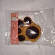 ヒメ日記 2025/09/26 03:01 投稿 小川ナース[看護主任] 病院