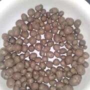 ヒメ日記 2025/10/15 13:26 投稿 小川ナース[看護主任] 病院